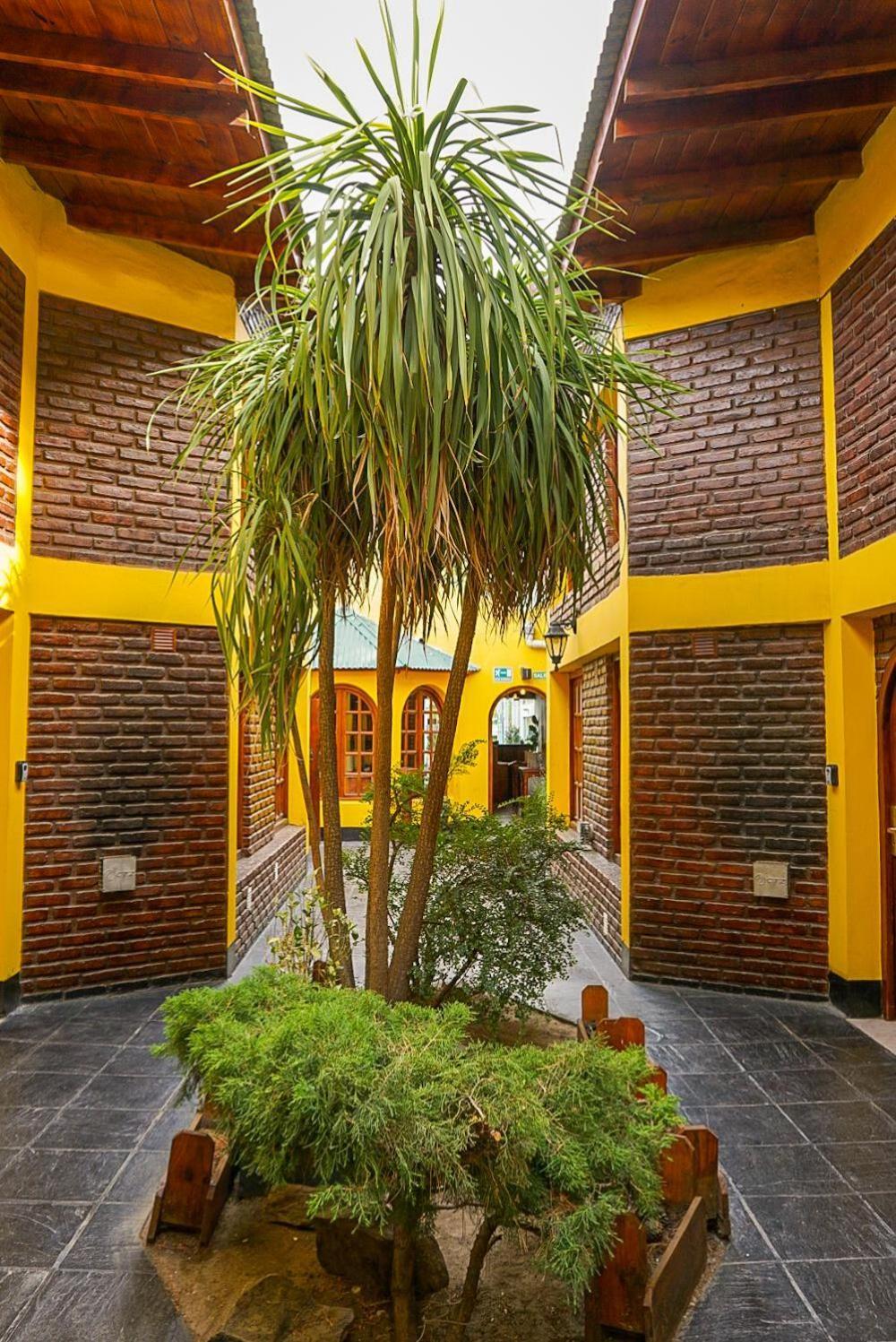 Apart Hotel Libertador เอลกาลาฟาเต ภายนอก รูปภาพ